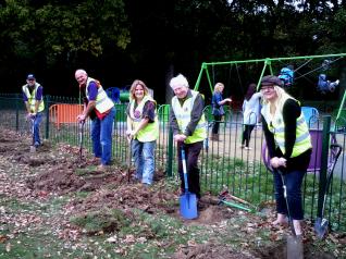 Planting Daffodils ready for Spring Oct 2011